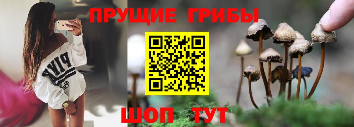 Искитим  цены наркотик  Вход с VPN  Галлюциногенные грибы GOLDEN TEACHER 